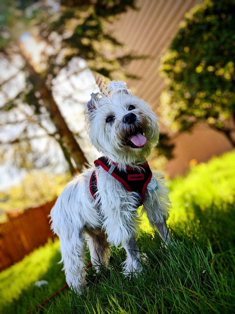 winston-sen_2 winston-sen_2